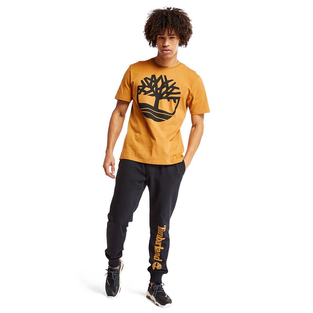 Pantaloni Timberland Barbati Negrii - Jogger Sweat - Romania - NWCAFX713